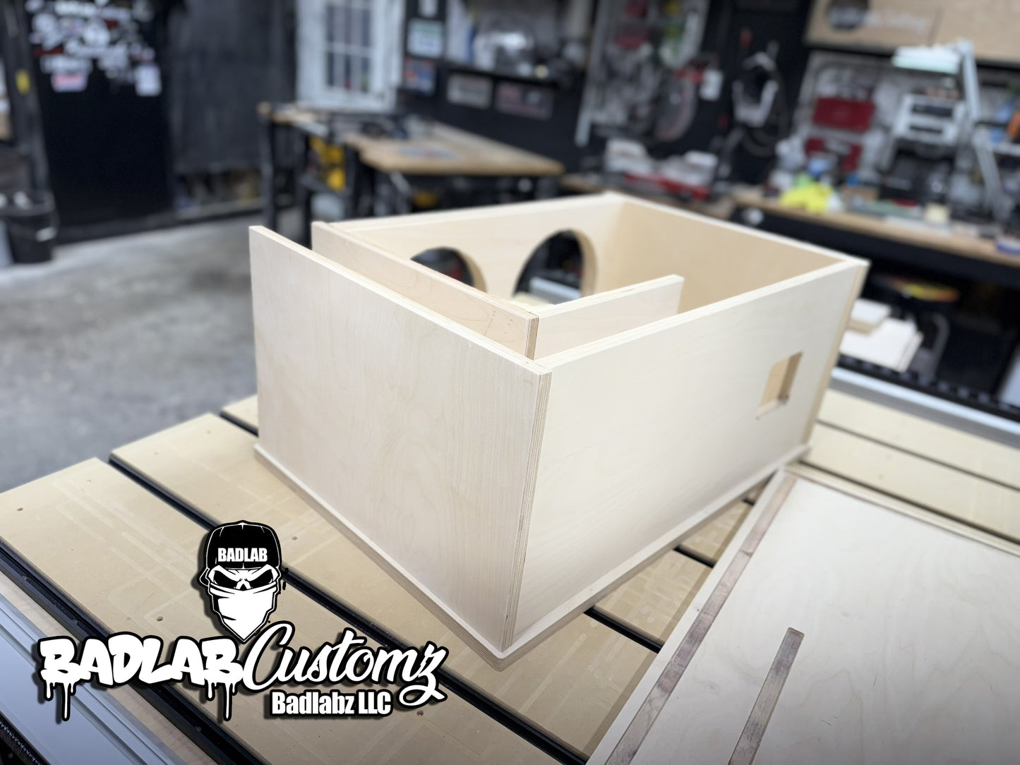 BassLab10 Dual 10" Flat pack