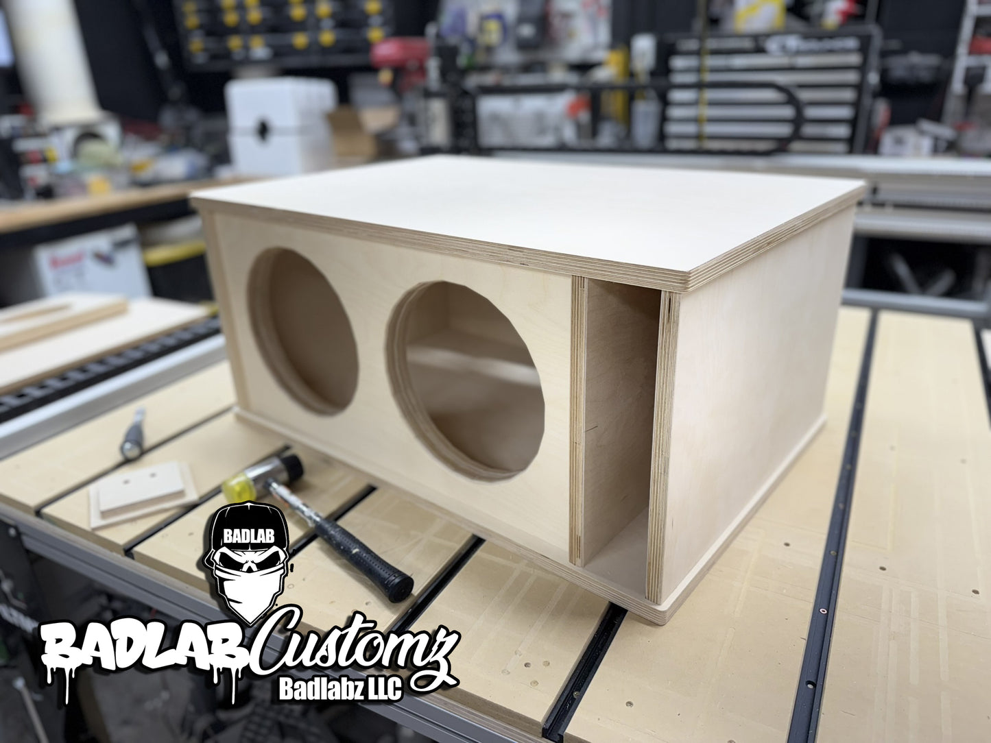 BassLab10 Dual 10" Flat pack