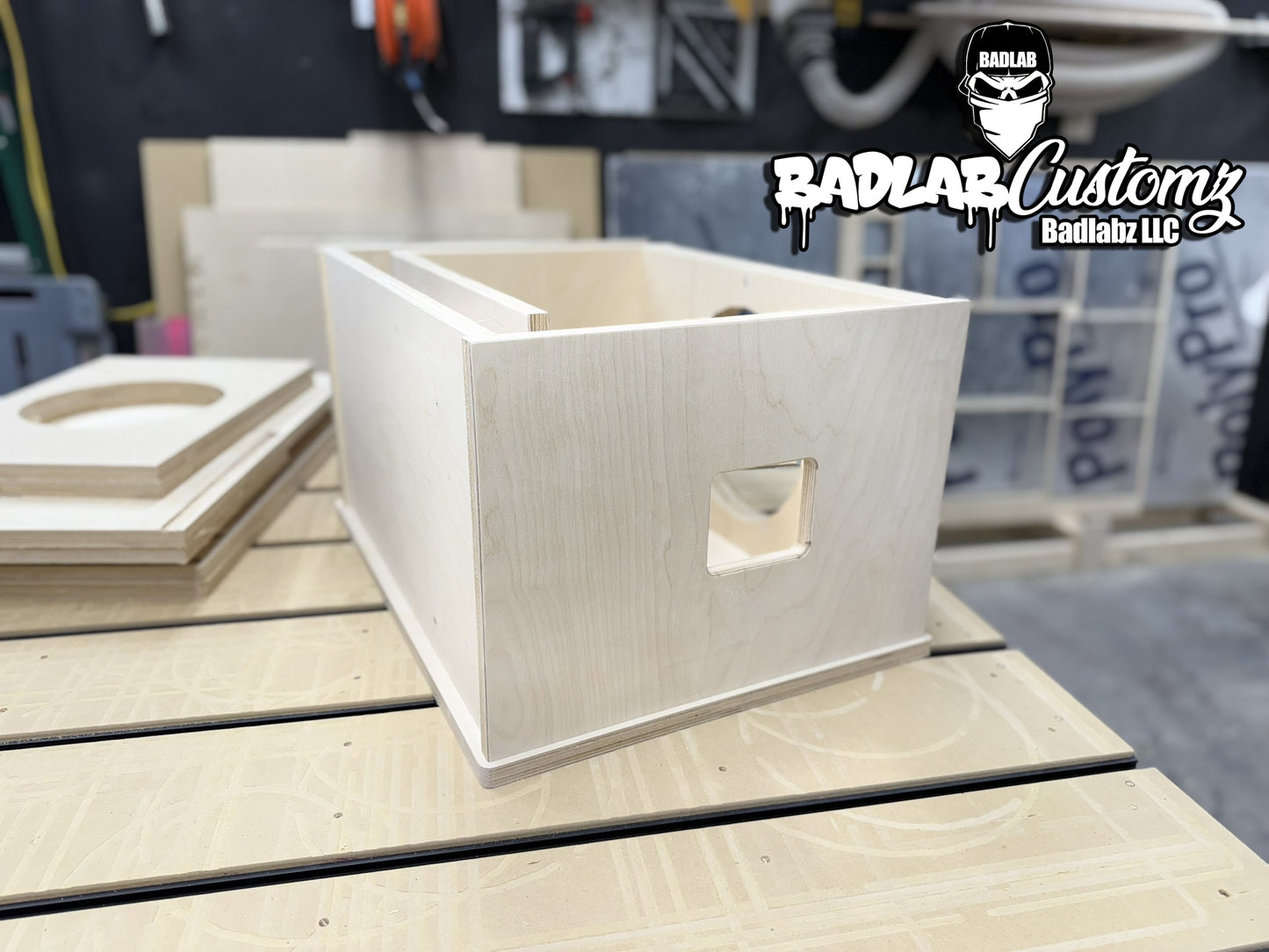 Basslab Single 10" Flat pack