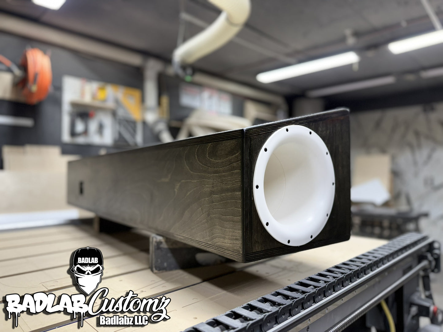FORD F150 10" Sub box