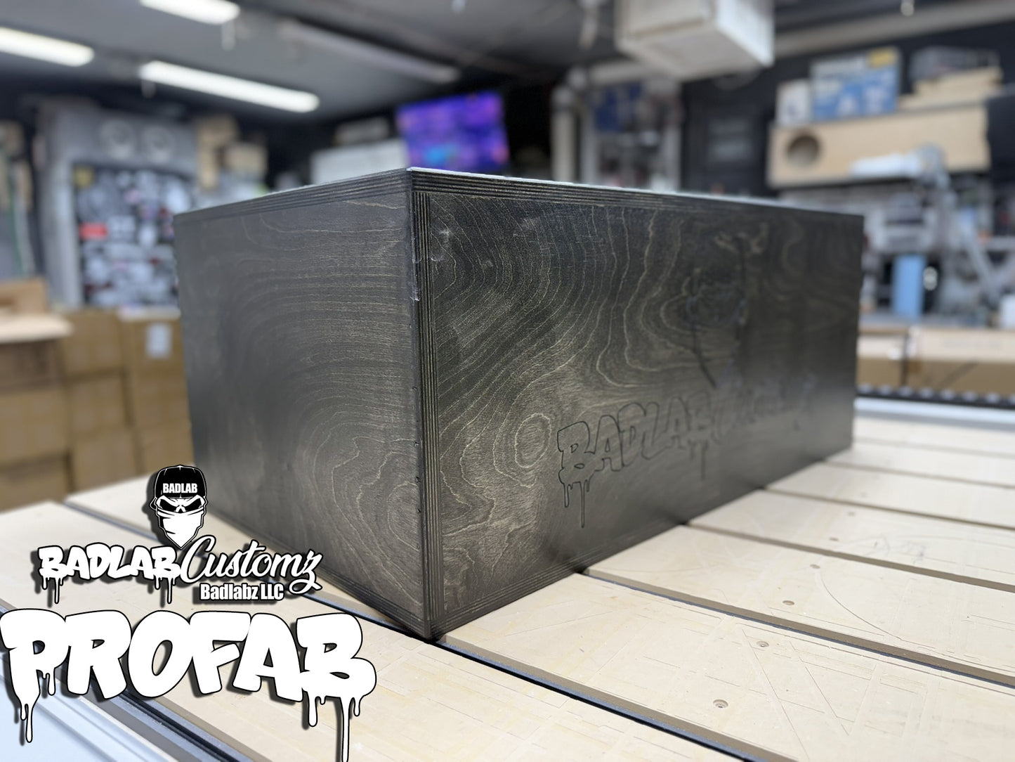Dual 12" Profab 3ccuft/33hz