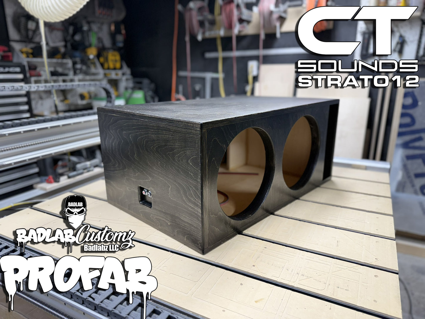 Dual 12" CT STRATO!!!