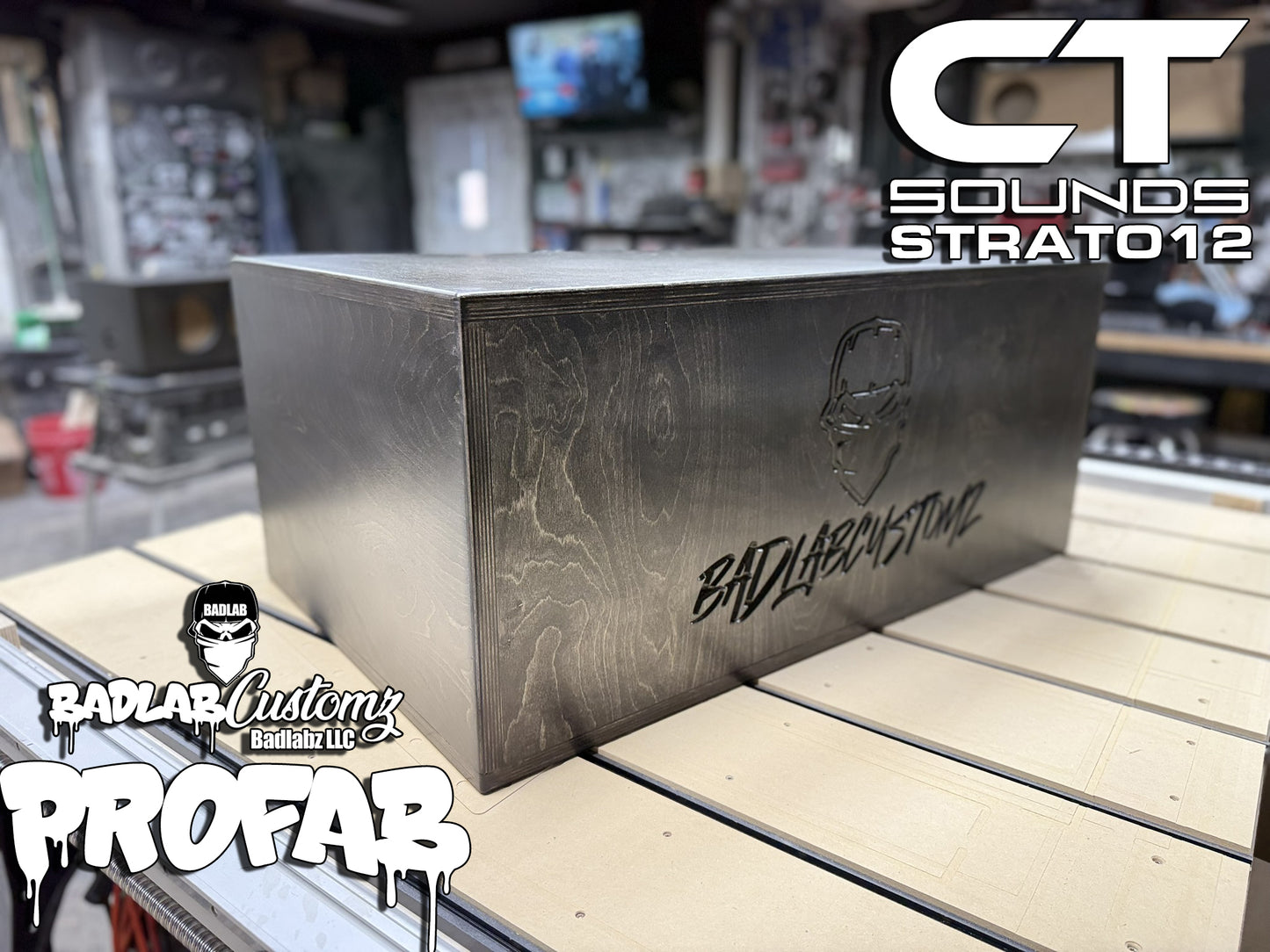 Dual 12" CT STRATO!!!